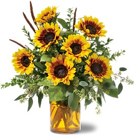 Solidaster Flowers on Out Of The Field  Into The Parlor     Sunflowers Couldn   T Be More