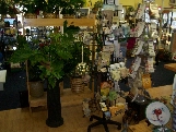 gift shops in sparta nc