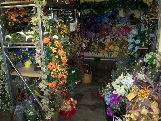 In Store Photos