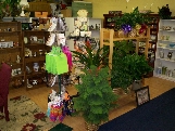 Gift Shop in Alleghany County