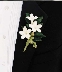 Flowers For The Wedding