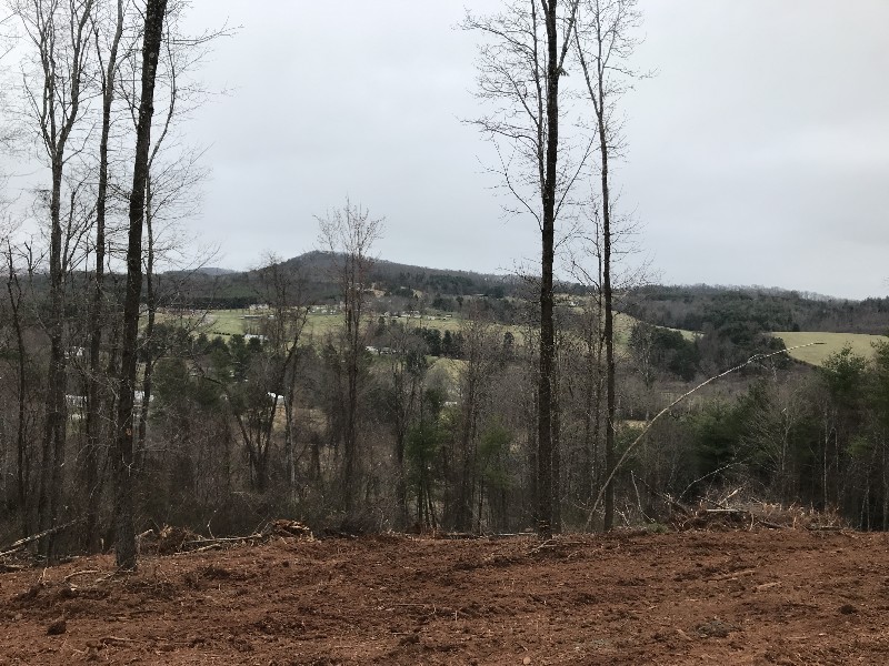 LAND FOR SALE in Alleghany NC