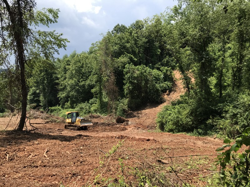 Mountain Land FOR SALE With Spring Water and Creek Ennice NC 28623