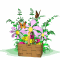 Flower Arrangements